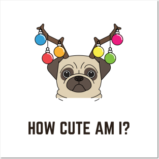 How cute am I, cute christmas pug Posters and Art